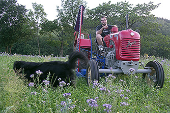 Steyr Traktor
