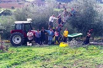 Steyr Traktor
