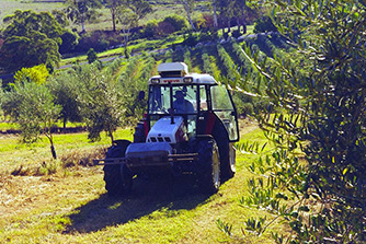 Steyr Traktor